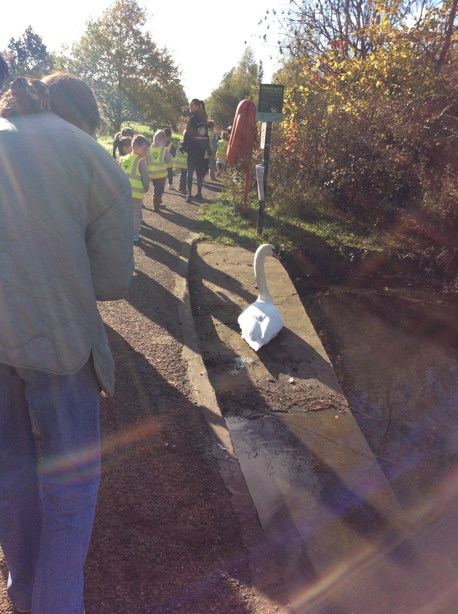 EaldhamPrimarySchool tweet media