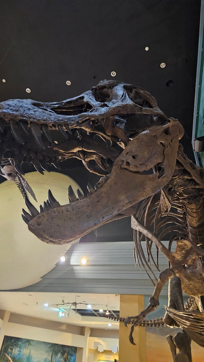 정공룡 실물영접했어요 ㅠㅠ 가문에 영광임 ㅠ