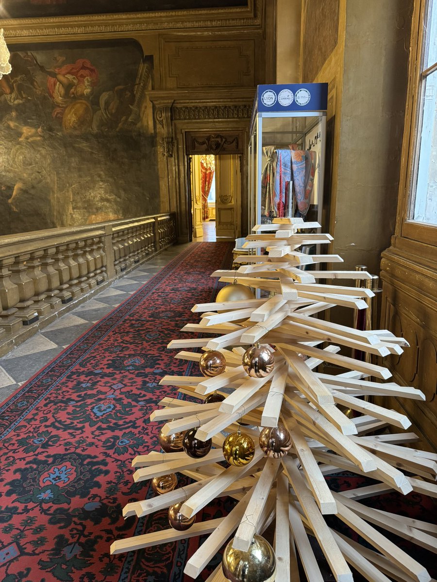 poliver69's tweet image. Voilà le sapin de Noël de l’hôtel de ville de Lyon 

C’est ridicule