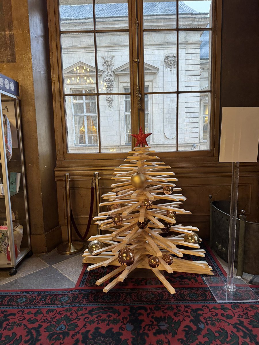 poliver69's tweet image. Voilà le sapin de Noël de l’hôtel de ville de Lyon 

C’est ridicule