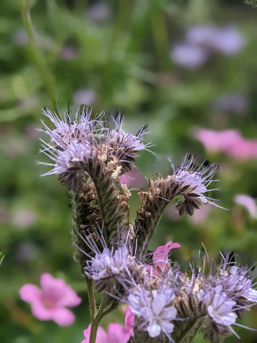 Join us for our webinar on Monday 16 December as we share Flourish: Nature recovery for people living with severe mental illness (SMI), a report exploring nature recovery for people with SMI.  Find out more: tinyurl.com/yc3wtam9 #Sussex