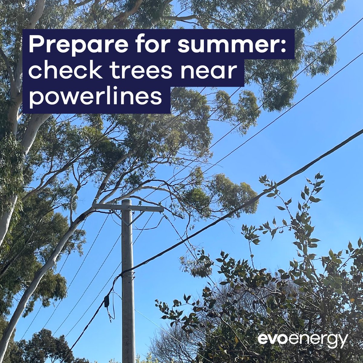 Don't forget that it's bushfire and storm season 🌳🔥🌦️ Vegetation encroaching on the electricity network poses a hazard during both weather events and can lead to unexpected outages. So, let's trim those trees and be summer safe! Read more: bit.ly/3BcoLF2