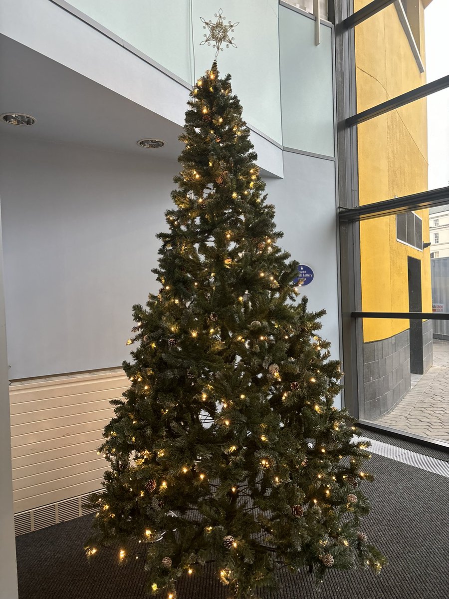 Huge thanks to <a href="/Newcastle_NHS/">Newcastle Hospitals Charity</a> for helping us provide some festive cheer in our entrance &amp; reception area in Genetics at Centre for Life <a href="/GeordieGenomes/">Newcastle Genomics Service</a> ❄️🧑‍🎄🎄