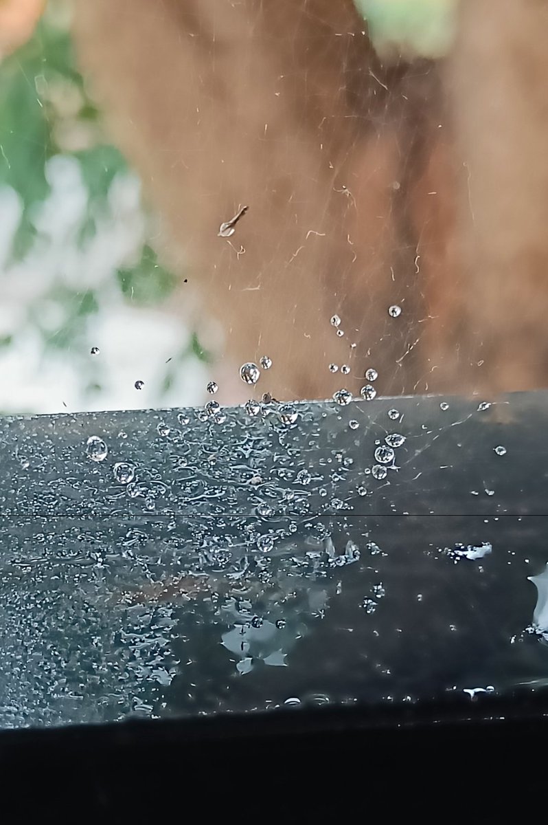 Bingo_mk's tweet image. #Bokeh
#Theme_Pic_India_Droplets