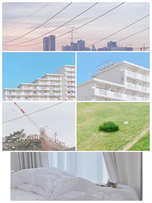 描いた作品と撮った写真 