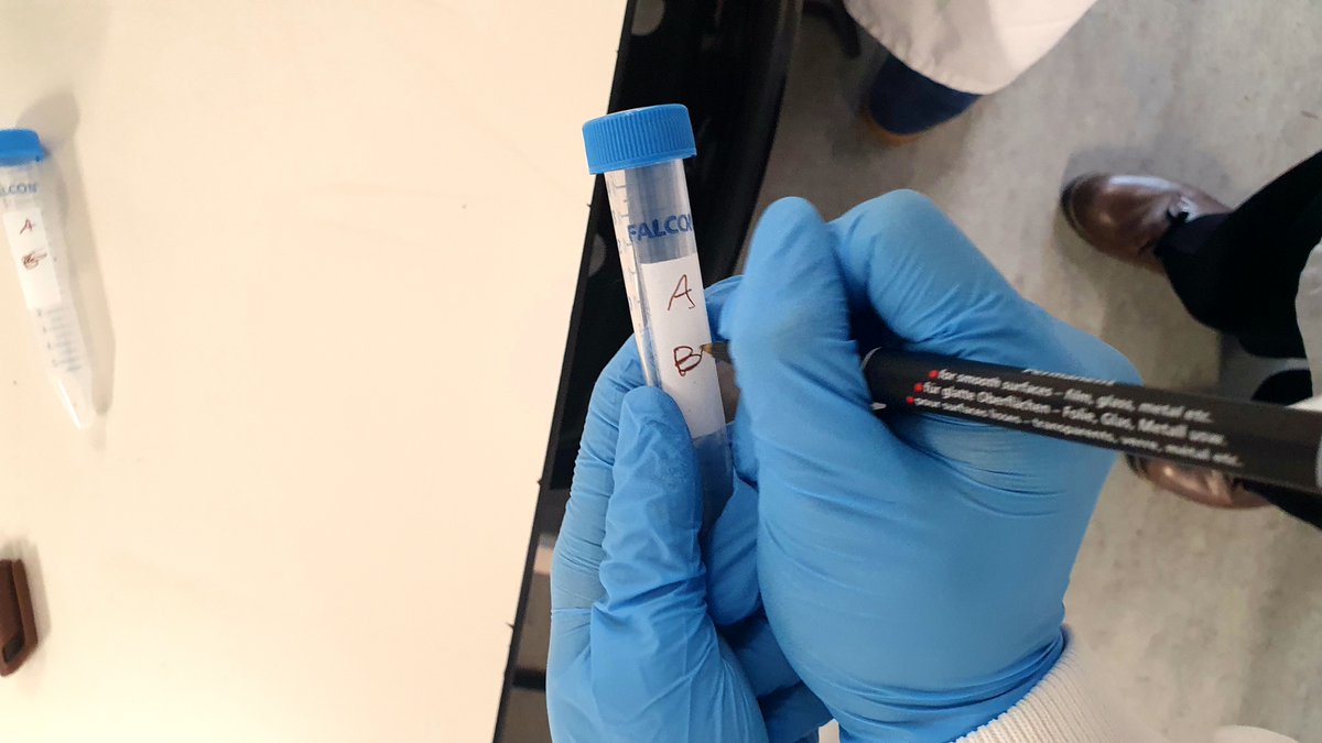 S P-T 🙅🏾‍♀️ 🇺🇸 🇯🇲🇬🇧 tweet media