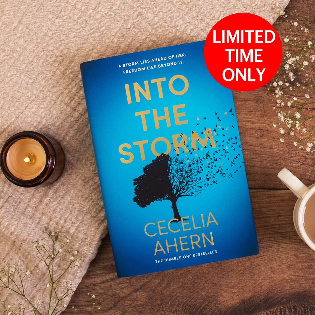 The Book Retreat (@thebookretreat) on Twitter photo Last chance to grab this beautiful blue and gold-foiled hardback on sale!
INTO THE STORM by Sunday Times bestselling author <a href="/Cecelia_Ahern/">Cecelia Ahern</a> is on sale for today only.
ow.ly/auYT50Unac4
Hardback on offer in the UK. Offer ends midnight 12th December. Last chance to grab this beautiful blue and gold-foiled hardback on sale!
INTO THE STORM by Sunday Times bestselling author <a href="/Cecelia_Ahern/">Cecelia Ahern</a> is on sale for today only.
ow.ly/auYT50Unac4
Hardback on offer in the UK. Offer ends midnight 12th December.