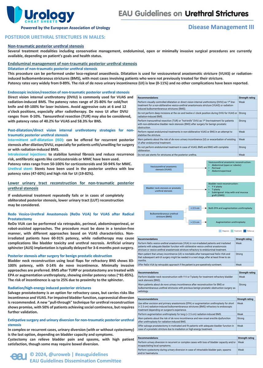 New Cheat Sheet on Urethral Strictures! 
This guide summarizes key approaches for managing posterior urethral stenosis, including conservative methods, endoluminal techniques and reconstruction options.

Download here:
uroweb.org/guidelines/ure…

#UrethralStenosis #EAUguidelines