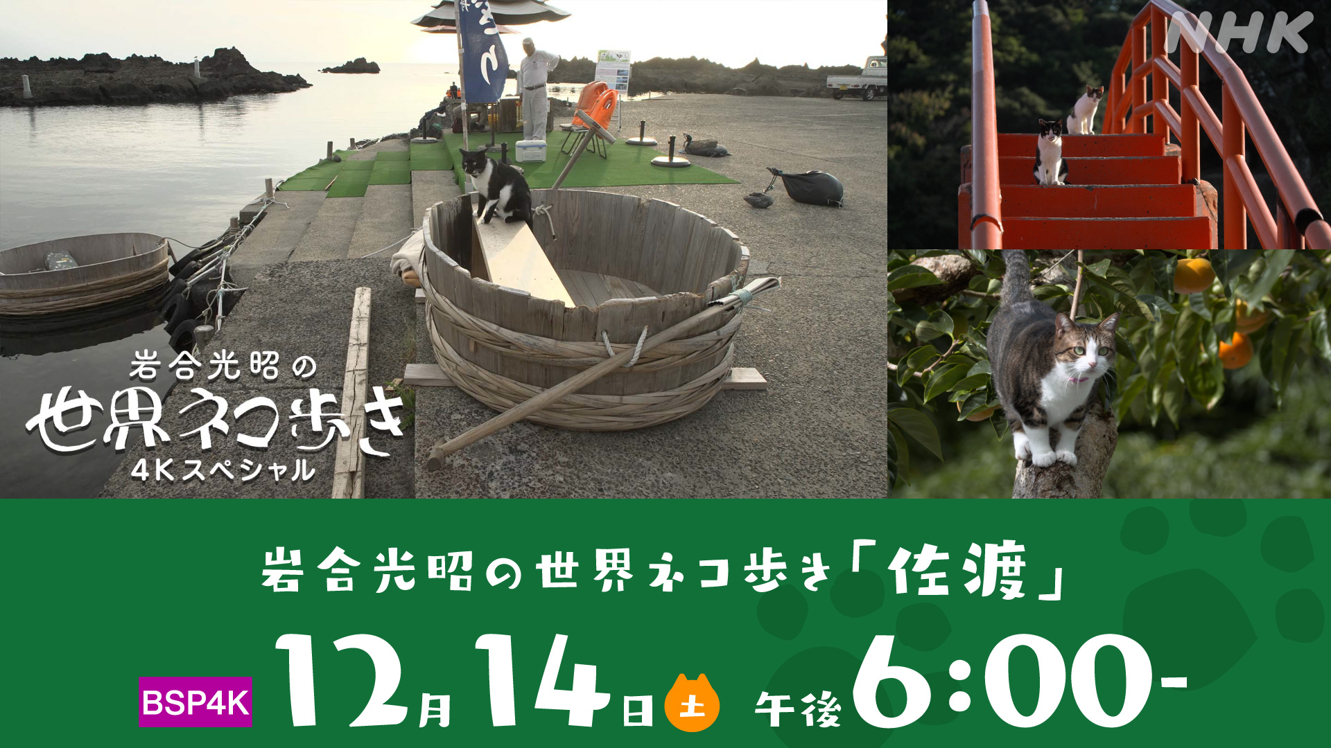 NHKにいがた on X: NHKにいがた on X: