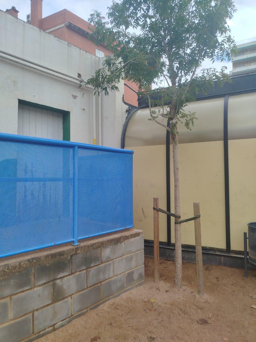 EscFarigolaClot's tweet photo. Al pati d’infantil han aparegut un ulls! Ja hem trucat a l’oncle buscall perquè el vingui a despenjar! #I3Farigola #I4Farigola #I5Farigola 🌲 https://t.co/cJGWf3dWZA