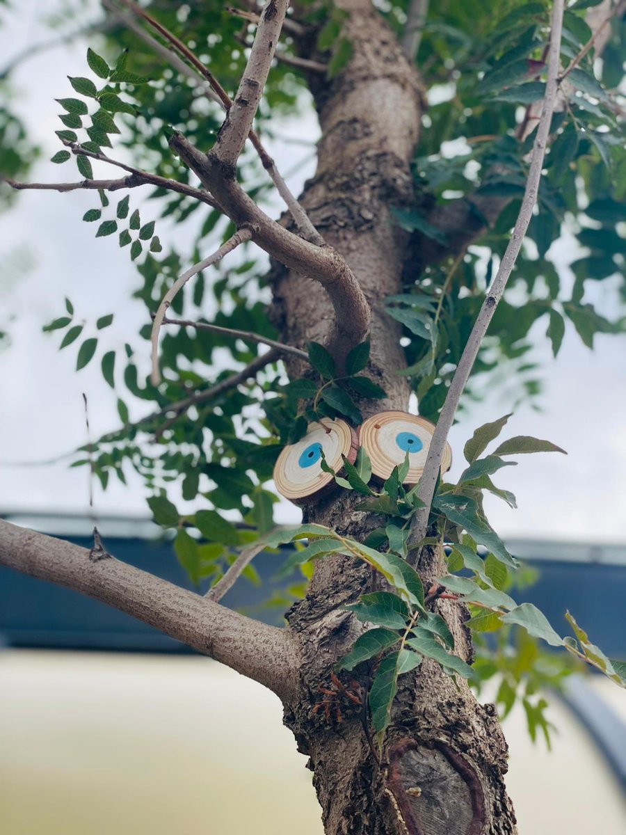 EscFarigolaClot's tweet photo. Al pati d’infantil han aparegut un ulls! Ja hem trucat a l’oncle buscall perquè el vingui a despenjar! #I3Farigola #I4Farigola #I5Farigola 🌲 https://t.co/cJGWf3dWZA