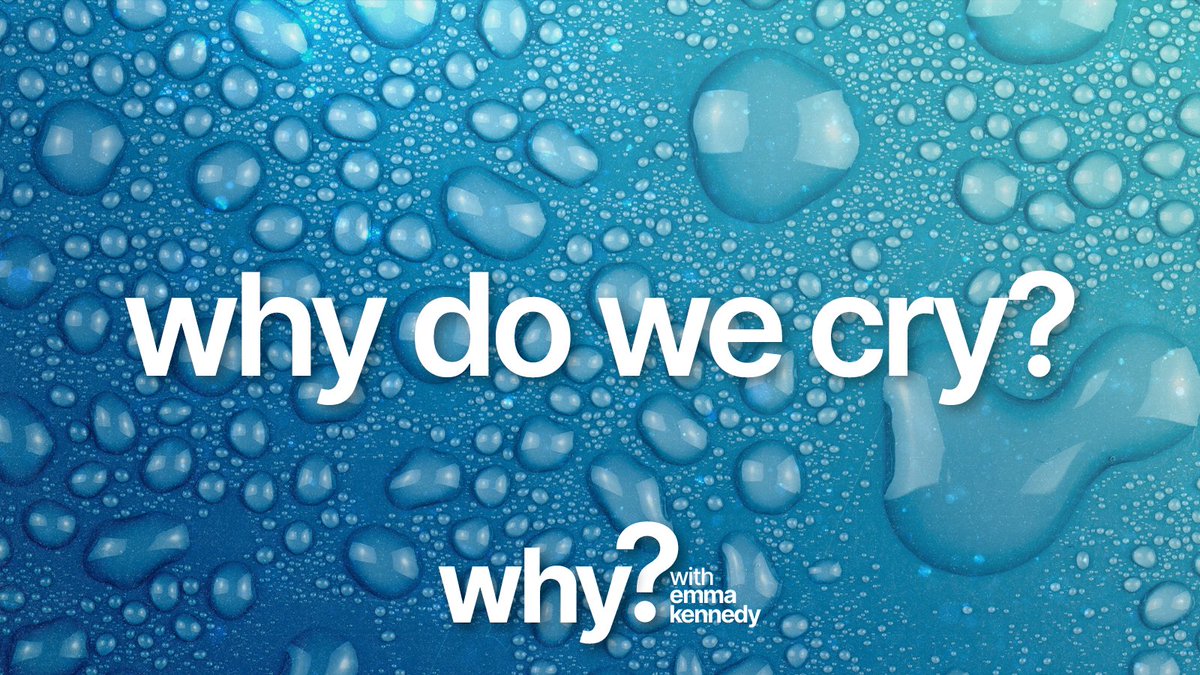 💧NEW EPISODE💧

Crying is a universal human experience - but what actually are tears?

<a href="/EmmaKennedy/">Emma Kennedy</a> is joined by 'Crying' author <a href="/TomLutz22/">Tom Lutz</a> and Ad Vingerhoets, author of 'Why Only Humans Weep' to find out why we cry.

Listen now!🔊⬇️
linktr.ee/whypodcast