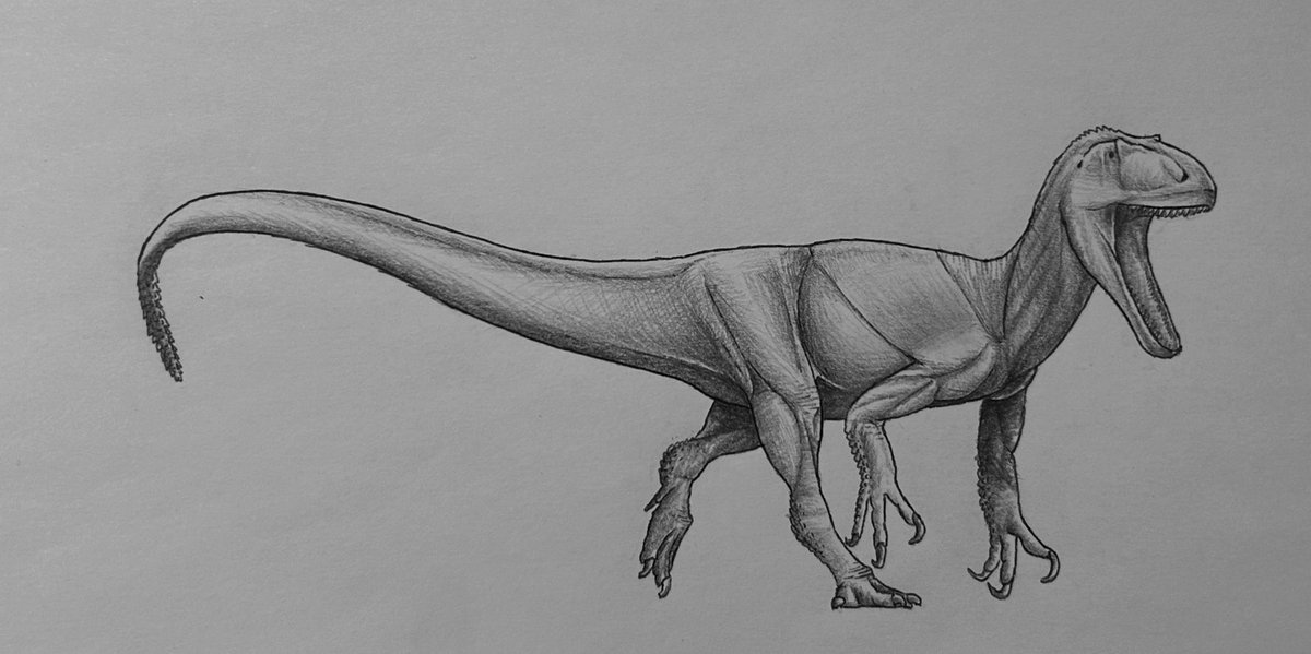 Toxic_Midget21's tweet photo. New dinosaur hyperfixation unlocked!?!?

Leshansaurus Qianweiensis https://t.co/onBnF5jyB0