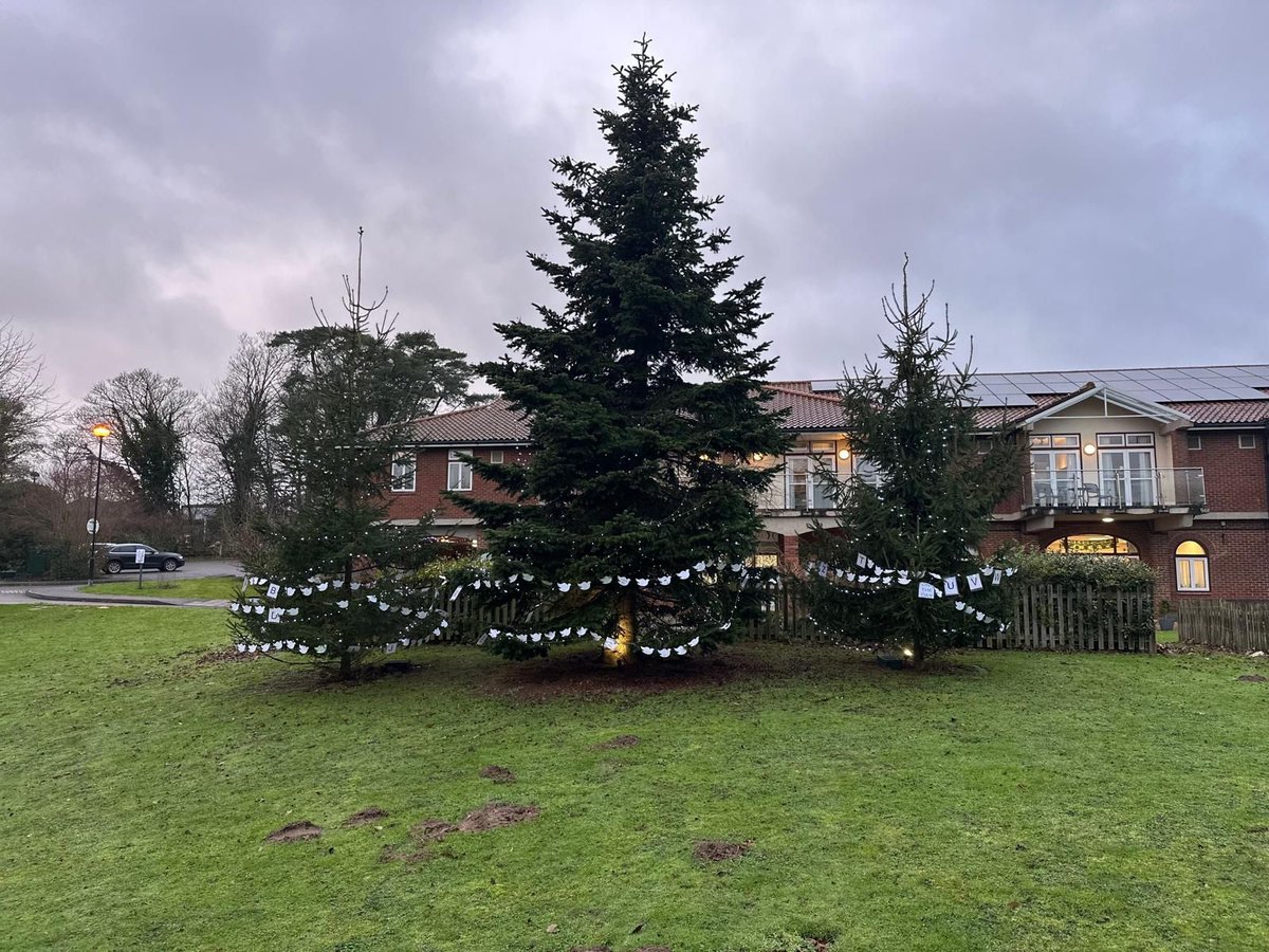 CommunityAd's tweet image. 🎄✨ This December, visit @PilgrimsHospice  #TreesofLove in #Canterbury, #Thanet, and #Ashford. 🕊️💙 Doves dedicated by the community now shine bright, celebrating love and memories.

These beautiful trees will remain lit until Monday 6 January
ow.ly/9Yhk50UlyZx
#EastKent