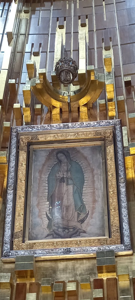 C_TroncosoD's tweet photo. Muy buenos días y Mañanitas a la #VirgenDeGuadalupe, Muchas Gracias por las Bendiciones que nos Da Día a Día para Nuestras Vidas y estar Siempre en Nuestros Corazones !!!

#ConvicciónTotal https://t.co/143aabyw7O