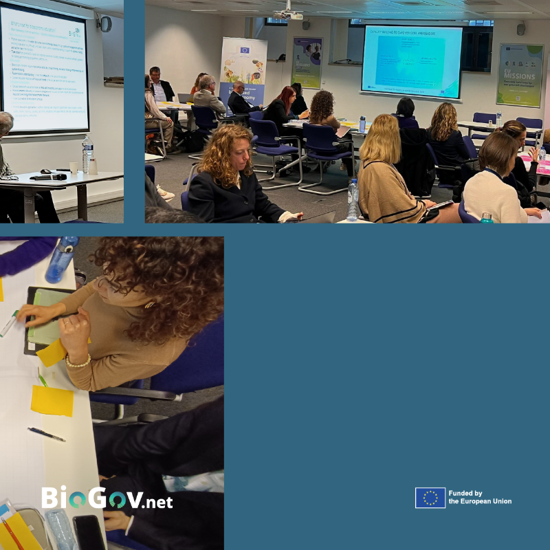 BioGov.net (@biogovnet) on Twitter photo 🌱 #BioGovnet joined 100+ experts to explore policy actions at a #EuropeanCommission event last month.
<a href="/fvawebIN/">FVA New Media Research</a>’s Susanna Albertini presented key project takeaways at the “What’s Next for #Bioeconomy Education?” workshop.
💡 Big ideas for a competitive bioeconomy! 🌱 #BioGovnet joined 100+ experts to explore policy actions at a #EuropeanCommission event last month.
<a href="/fvawebIN/">FVA New Media Research</a>’s Susanna Albertini presented key project takeaways at the “What’s Next for #Bioeconomy Education?” workshop.
💡 Big ideas for a competitive bioeconomy!