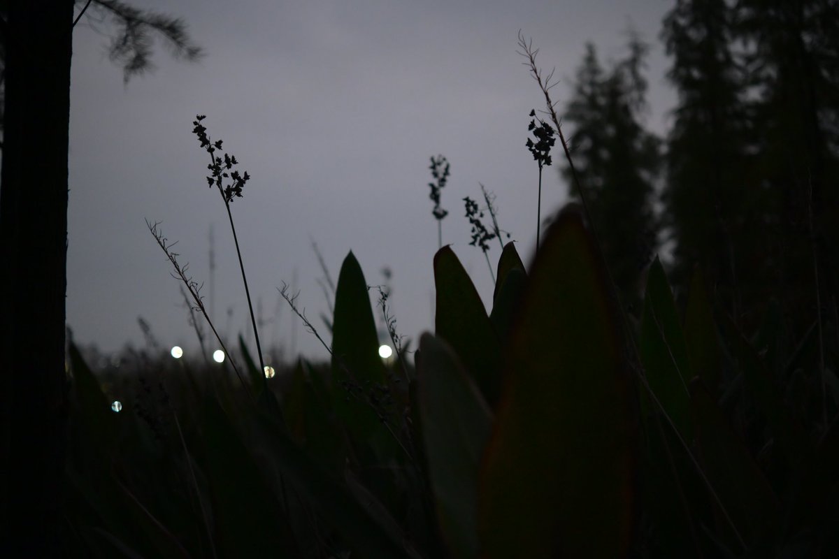 黄推福利内容 - Blues的精彩图片 福利姬Blues分享的黄推图片2 - 网红私拍内容