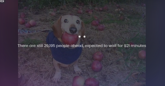 $Apple is escalating, these took a couple minutes last night