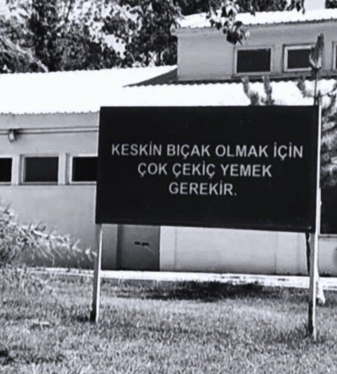 anka (@wolf1cub) on Twitter photo 