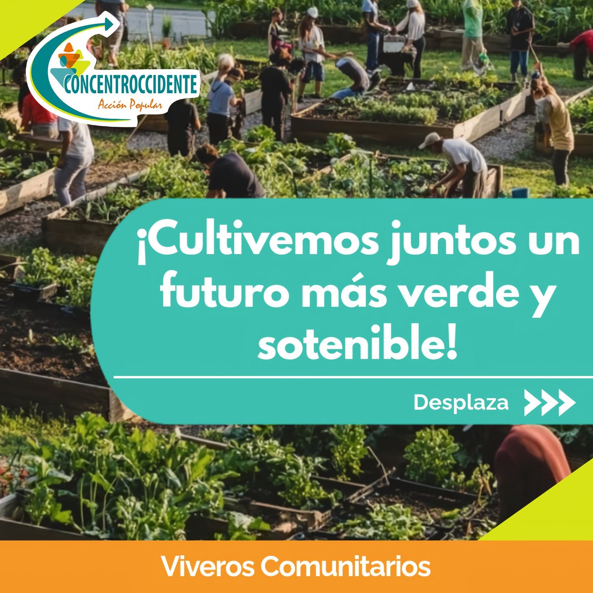 cesaplara's tweet photo. Desde el proyecto "Juntas Producimos, Educamos y Cuidamos" promovemos la importancia de los viveros comunitarios.
🌱Los cuales son espacios donde se producen plantas y árboles, pero también de encuentro y capacitación entre vecinos. https://t.co/Jb9vyCe1va