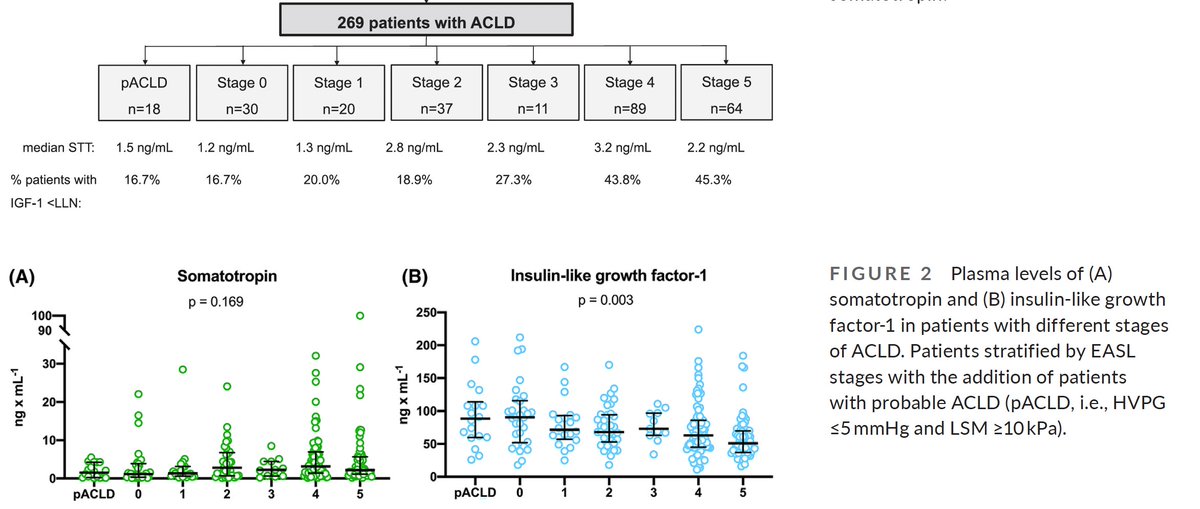 ReibergerThomas's tweet image. #LiverX 
Drs. HARTL @hartl_md &amp;amp; SCHWARZ @Mschwa66 of @MedUni_Wien demonstrate that insulin-like growth factor-1 (#IGF1)  is linked to 
🕸️#Fibrogenesis
😬 #Decompensation

📕Full Study @APandT - 🔗t.ly/EMuYm