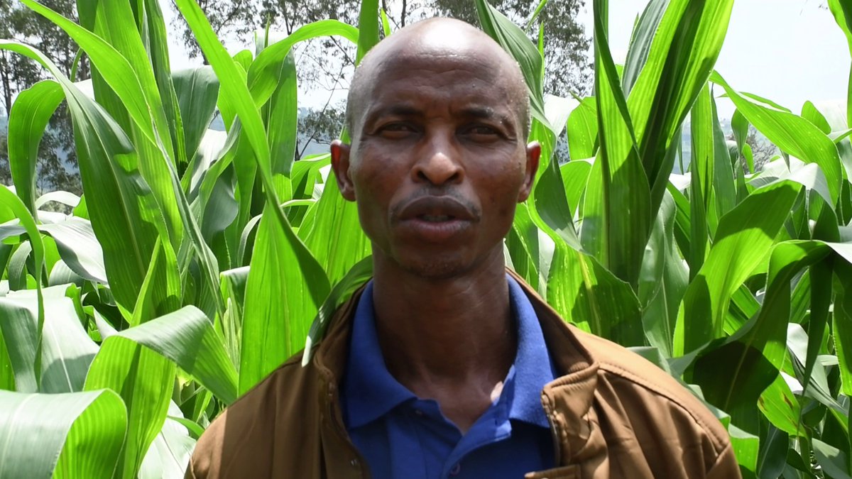 Ngoma District tweet media