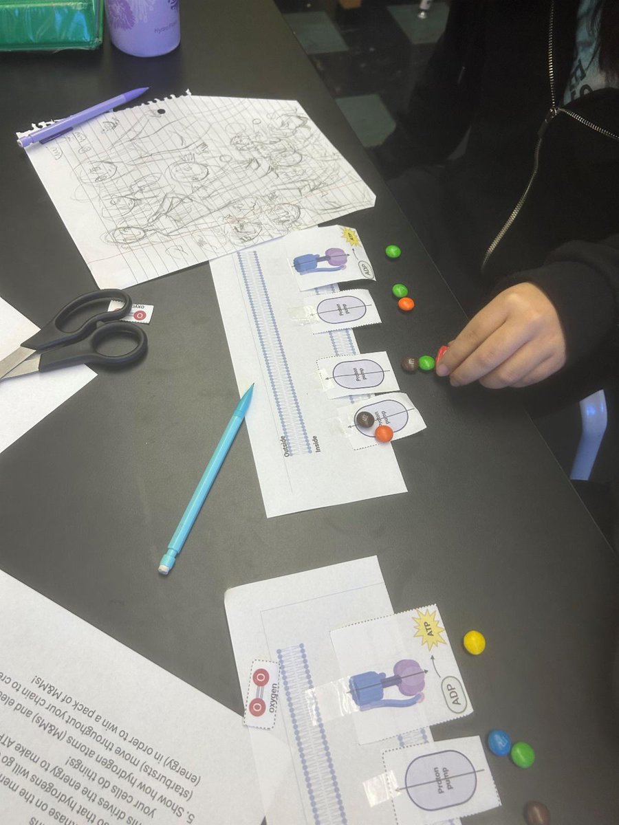 Princeton_ScienceOutreach tweet media