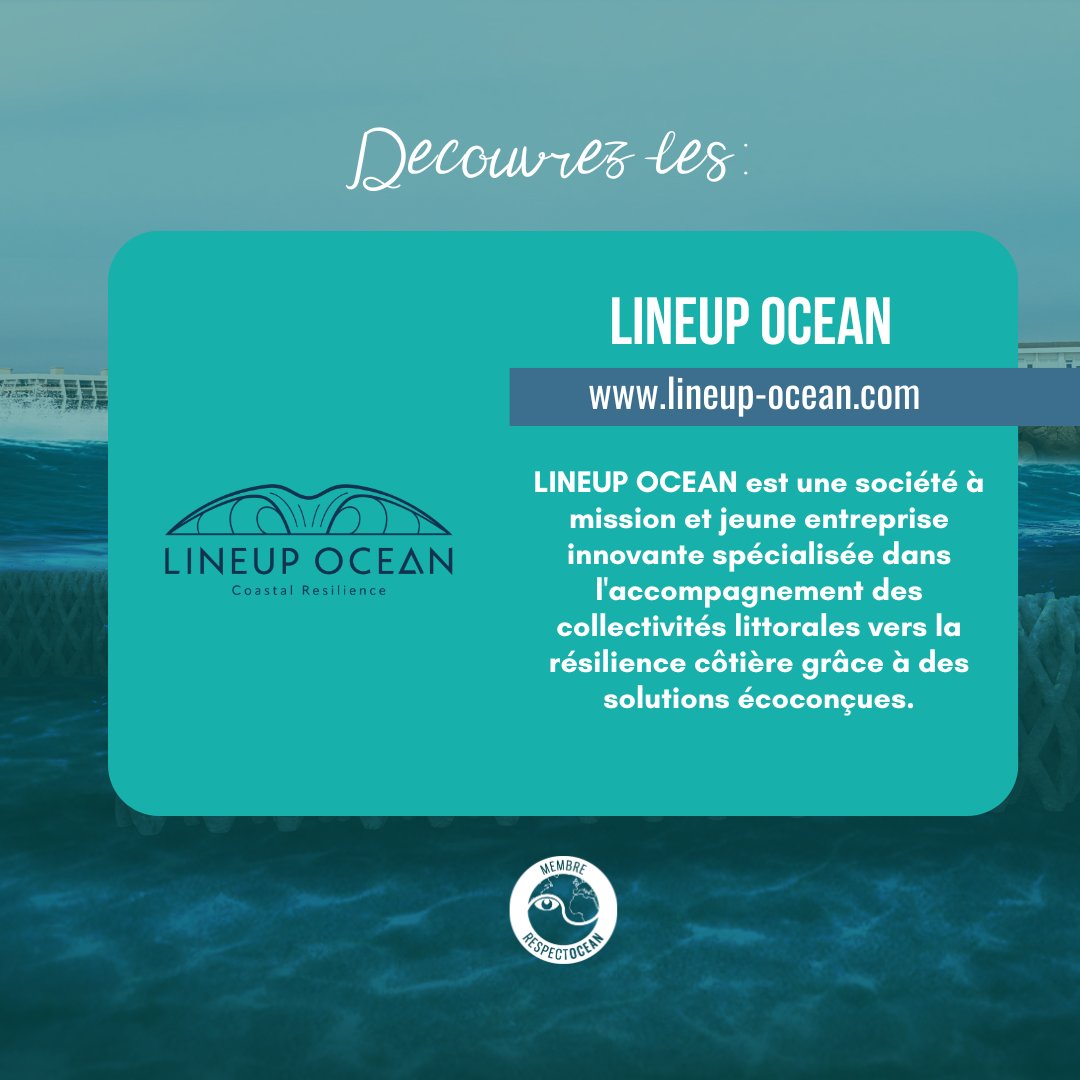 RespectOcean 🌊 tweet media