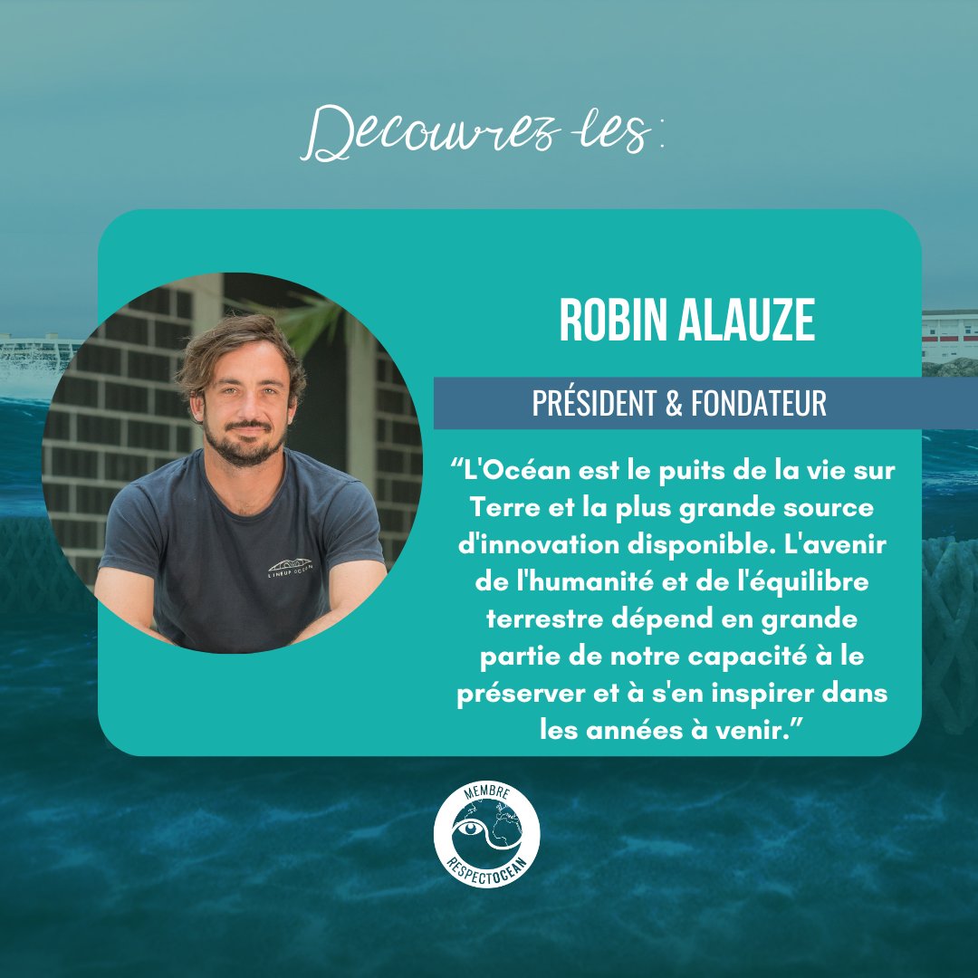 RespectOcean 🌊 tweet media