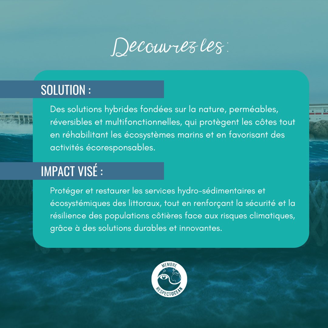 📣🌊[BIENVENUE] Nous sommes heureux d'accueillir un nouvel adhérent, #LineupOcean société à mission et jeune entreprise innovante spécialisée dans l'accompagnement des collectivités littorales vers la résilience côtière grâce à des solutions écoconçues.

▶️respectocean.com/lineup-ocean/