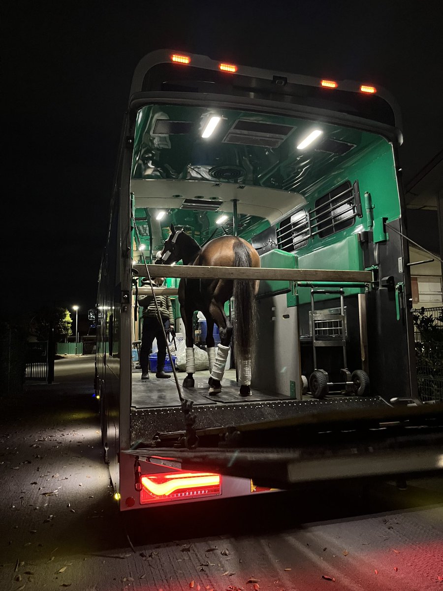 Joseph R. Lee Racing (@josephleeracing) on Twitter photo 🇺🇸🇯🇵🐎
<a href="/KatieRichFarms/">KatieRich Farms</a> <a href="/joe_lee0007/">Joe lee</a> <a href="/JRA_Special/">JRA公式</a> <a href="/FrankieDettori/">Frankie Dettori</a>
#メイデイレディ #maydayready #JRA #阪神JF #阪神ジュベナイルフィリーズ 🇺🇸🇯🇵🐎
<a href="/KatieRichFarms/">KatieRich Farms</a> <a href="/joe_lee0007/">Joe lee</a> <a href="/JRA_Special/">JRA公式</a> <a href="/FrankieDettori/">Frankie Dettori</a>
#メイデイレディ #maydayready #JRA #阪神JF #阪神ジュベナイルフィリーズ
