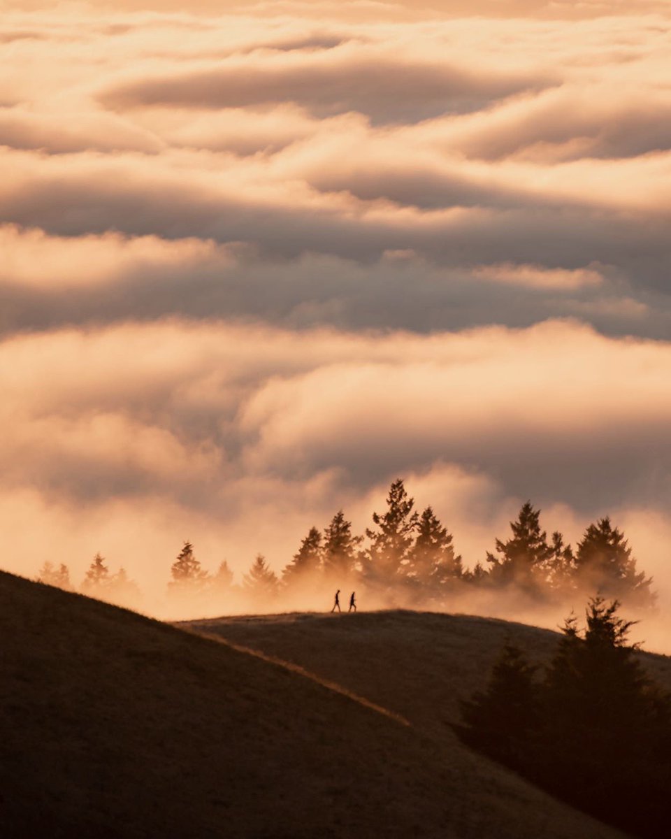 photos I took above the fog