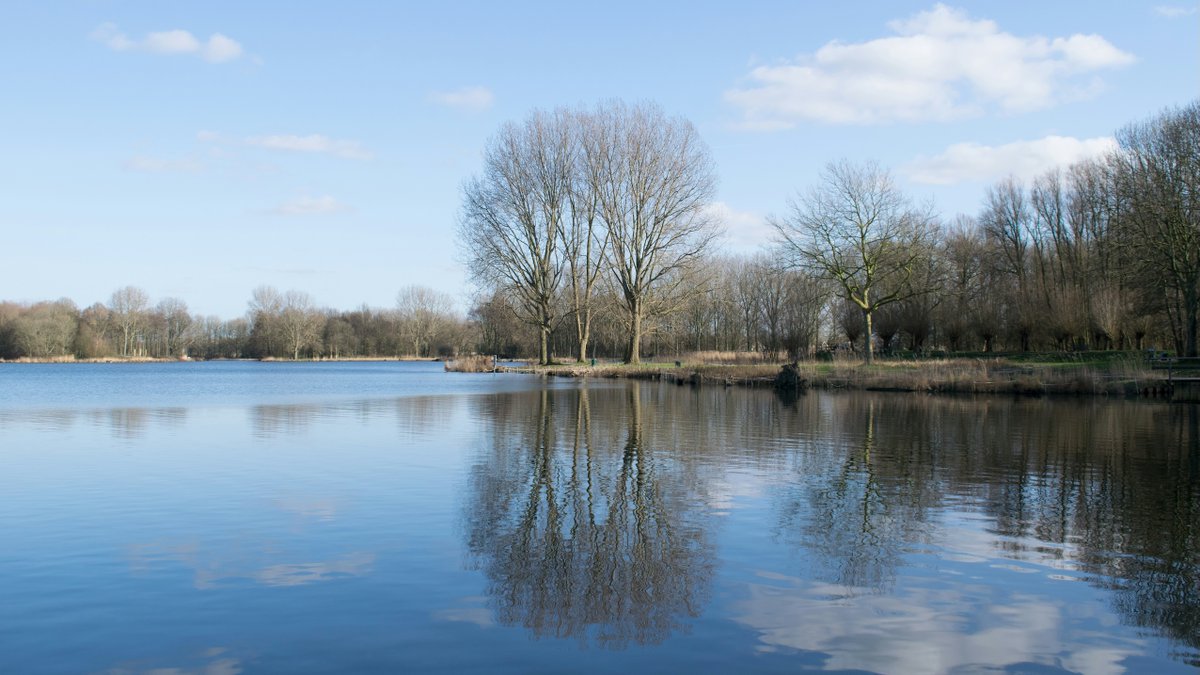 Met de biodiversiteit in Nederland gaat het sinds 1990 gemiddeld iets beter en dat komt vooral door het water,  zo blijkt uit een overzicht van het CBS. Op het land is de achteruitgang fors h2owaternetwerk.nl/h2o-actueel/cb…