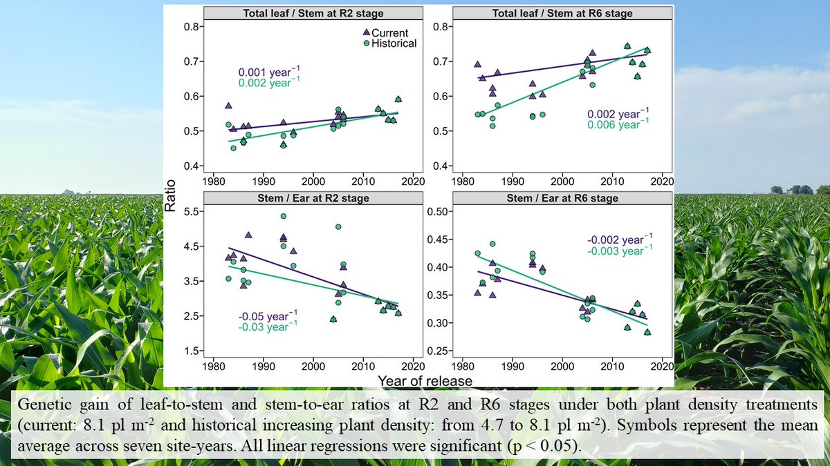 New article‼️
authors.elsevier.com/c/1kFYG_8chymJ…

Thank you to our amazing team for their hard work and collaboration—this project was made possible through the strong partnership between Iowa State University, Purdue University, Donald Danforth Plant Science Center, and Bayer Crop Science.