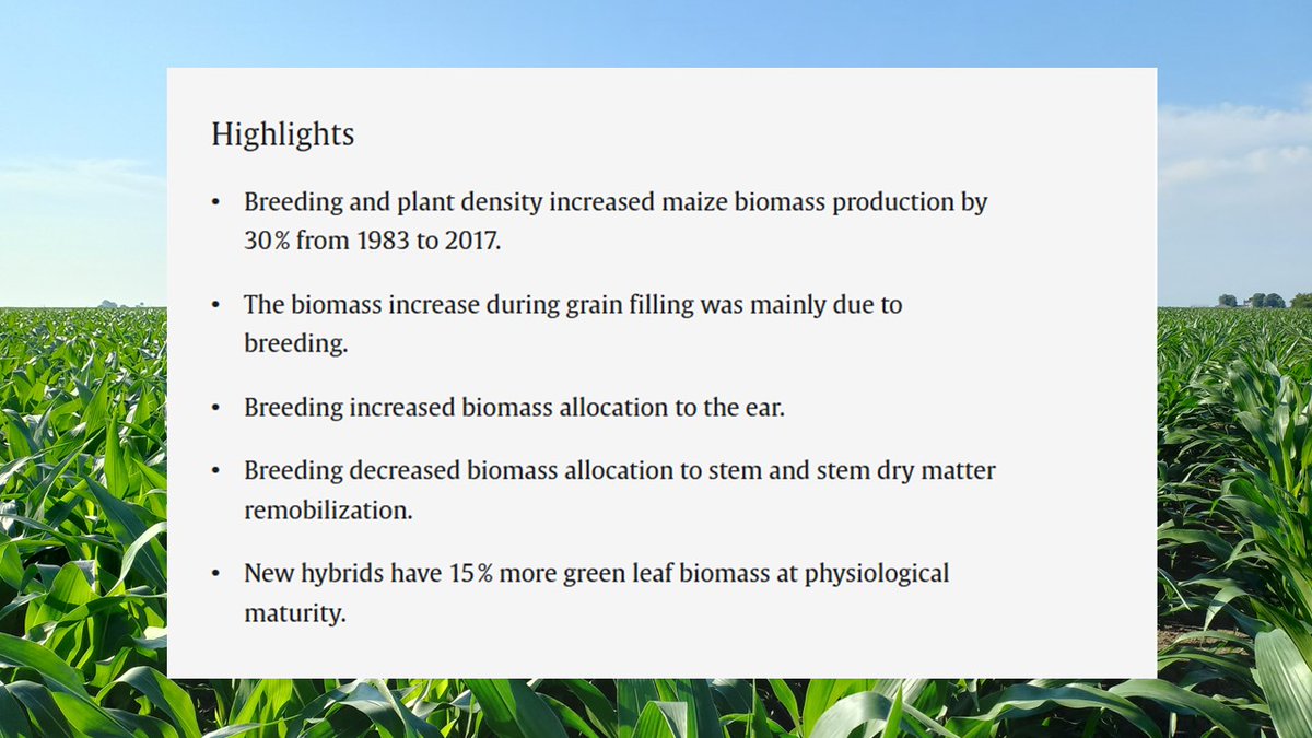 EzequielSaenz14's tweet photo. New article‼️
https://t.co/gD6uW5orFs

Thank you to our amazing team for their hard work and collaboration—this project was made possible through the strong partnership between Iowa State University, Purdue University, Donald Danforth Plant Science Center, and Bayer Crop Science. https://t.co/hmqJl3OkjQ