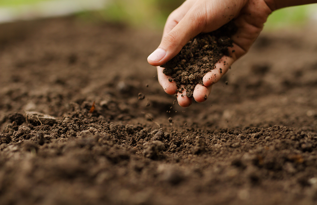 Get what's in your soil. You already paid for it, may as well use it!