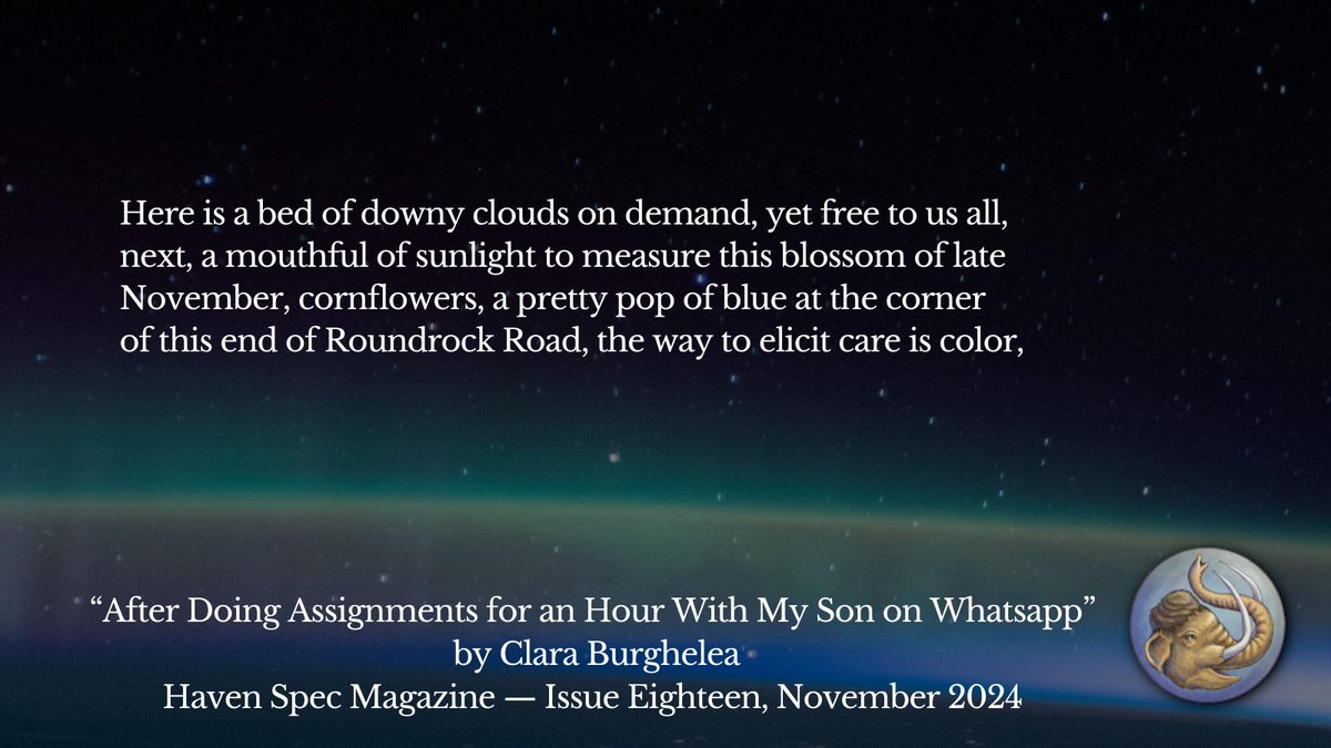 Haven Spec Magazine tweet media