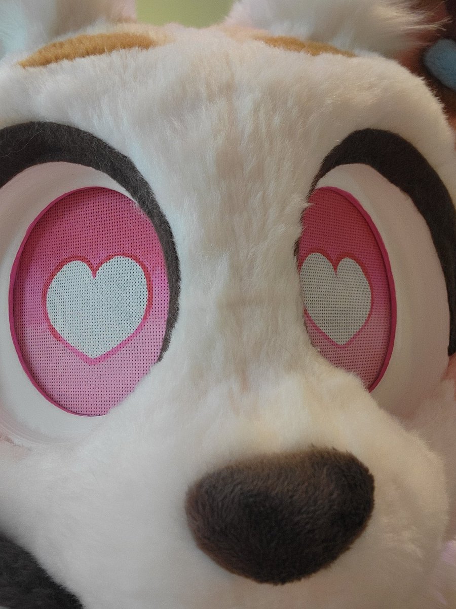 foxopfurs's tweet image. my house heater is broken... how ever will i stay warm i wonder...