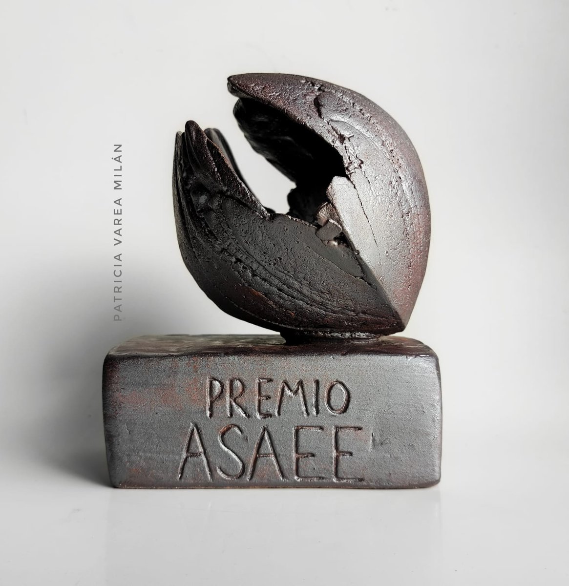 #PremiosASAEE
Os recordamos que hasta el 31 de enero de 2025 sigue abierta la convocatoria de los Premios ASAEE, en tres categorías:

🏆Tesis doctorales
🏆Exposiciones etnográficas
🏆Antropología audiovisual/multimodal

Podéis consultar las bases en:
asaee-antropologia.org/premios-asaee/