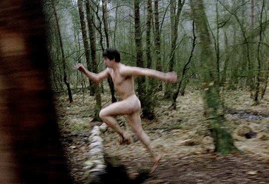 TF lover tweet media