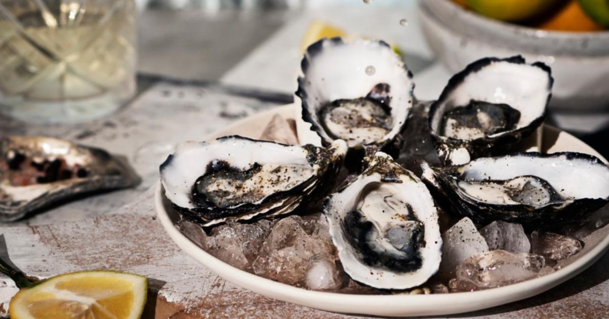 De inheemse oesters doen het in Europa bijzonder slecht, blijkt uit analyse van historische gegevens. De soort is er zo sterk op achteruit gegaan dat ze als ‘ingestort’ bestempeld moet worden.

 weekend.knack.be/lifestyle/culi…