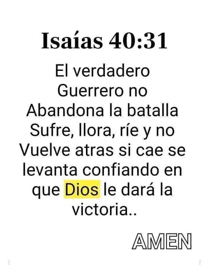 Bibliaenlinea's tweet photo. https://t.co/Ox53UtVG3a