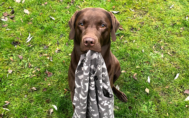 Monika Schulze tweet media