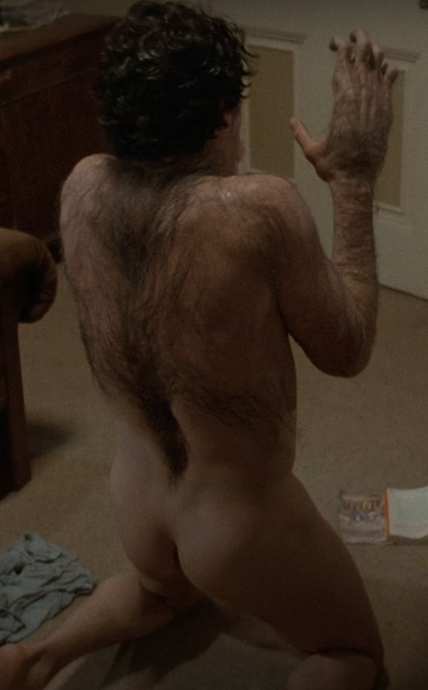 TF lover tweet media