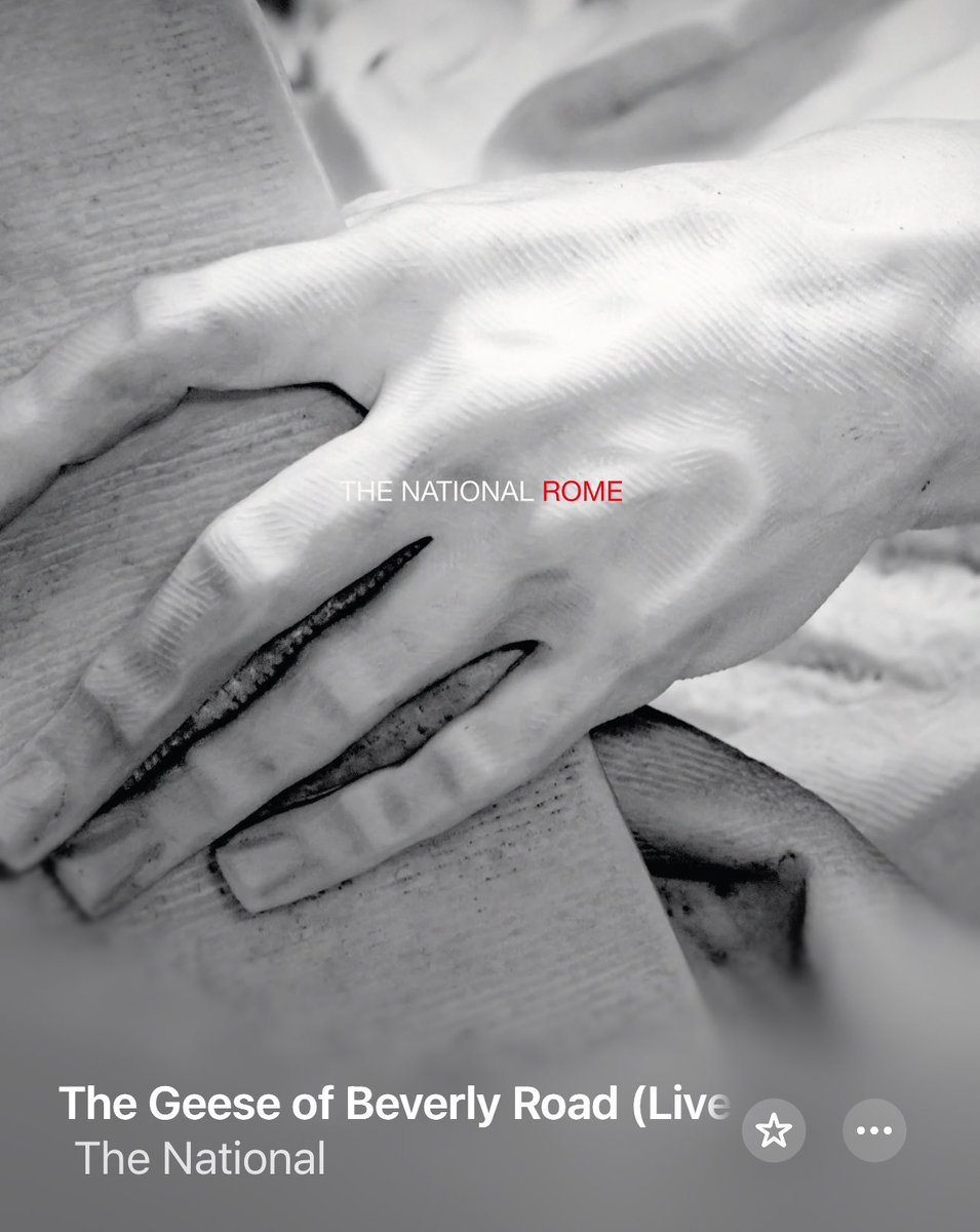 #NP “The Geese of Beverly Road”
🎧-> shorturl.at/QnyFi

A majestic track by #TheNational from their new live in Rome album, a late contender to appear on the best albums list

#bestalbums2024 #newmusic