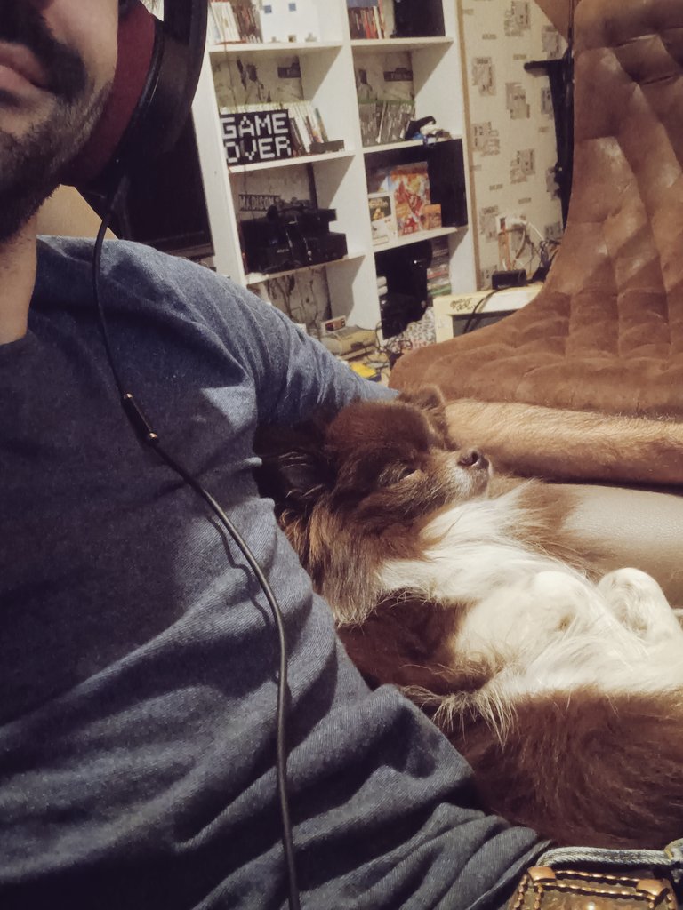 derBloccy's tweet image. Wenn beim Musik machen Choccy im Arm schläft.