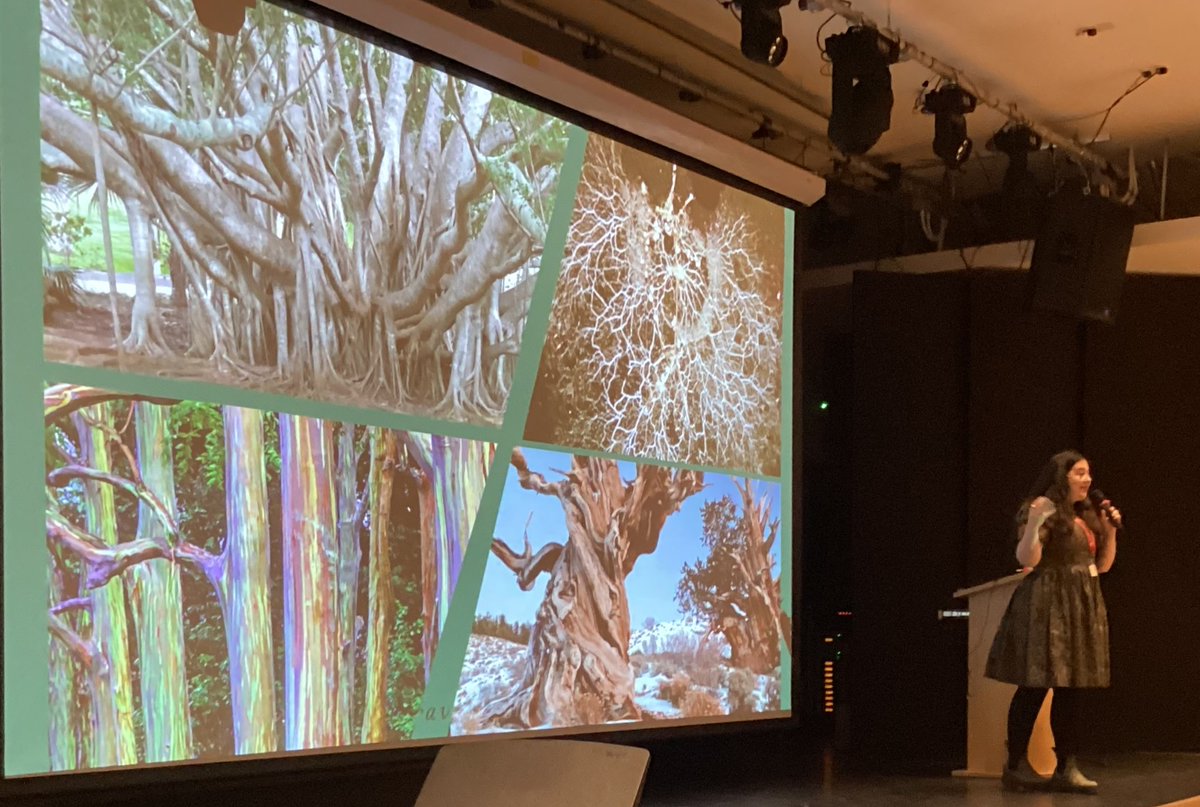 Putney High Library tweet media