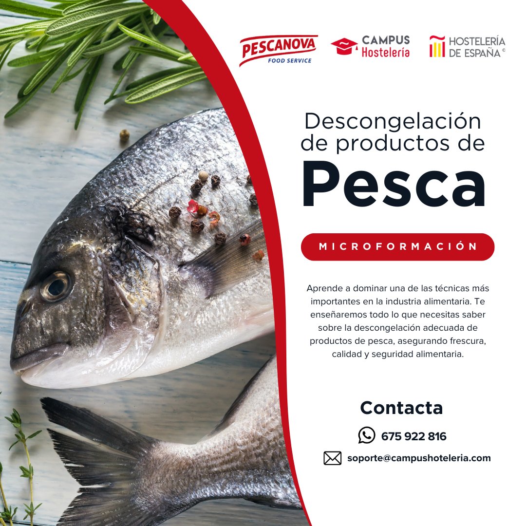 CampusCEHE's tweet image. 🦐 Aprende a descongelar productos de pesca 

Con nuestra microformación en Descongelación de Productos de Pesca, dominarás una de las técnicas esenciales para garantizar frescura y calidad.
WhatsApp: 675 922 816
✉️ Email: soporte@campushosteleria.com

#FormaciónHostelería