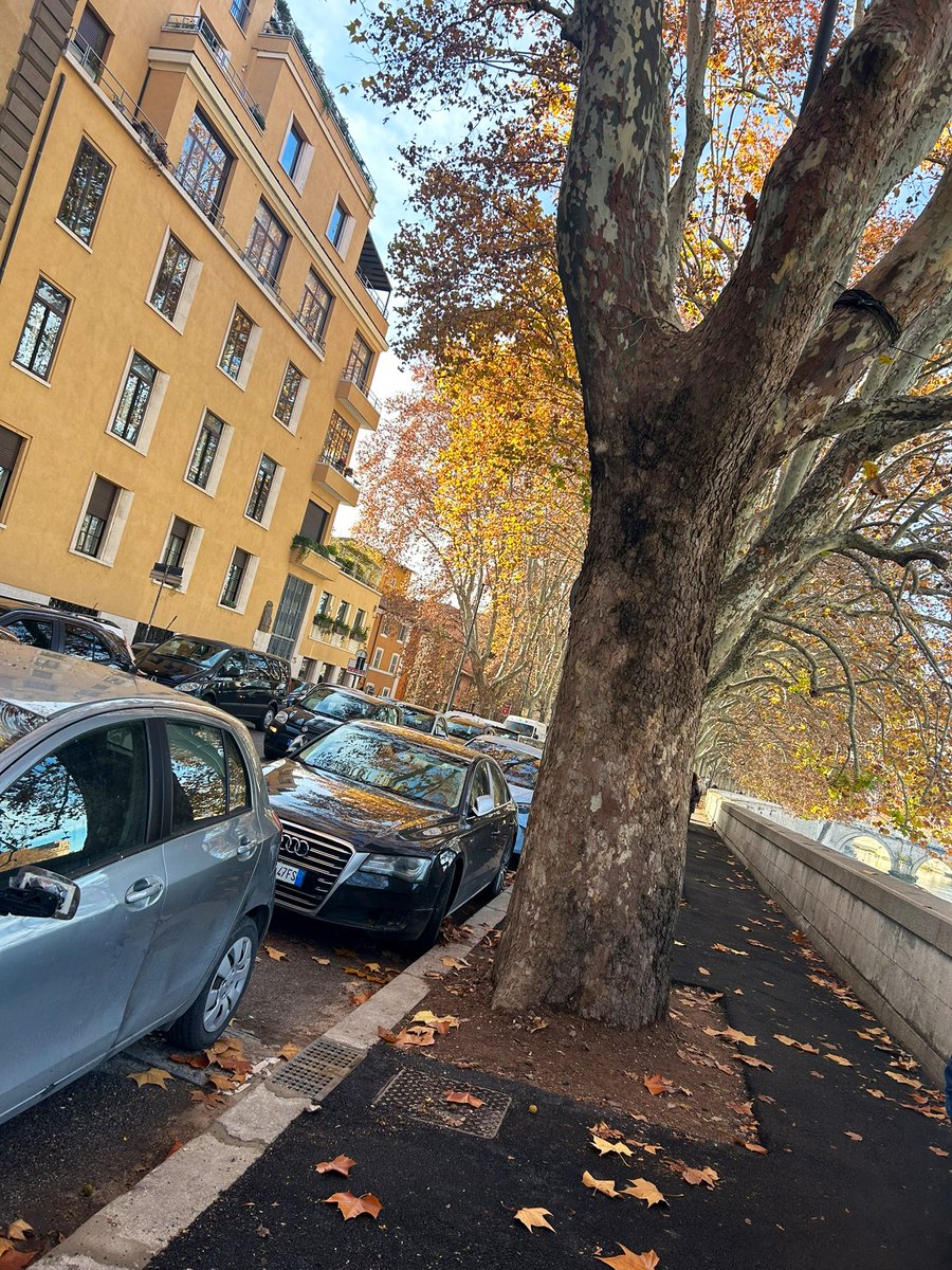 fifia_la's tweet photo. #autunno https://t.co/uLeO08faWY