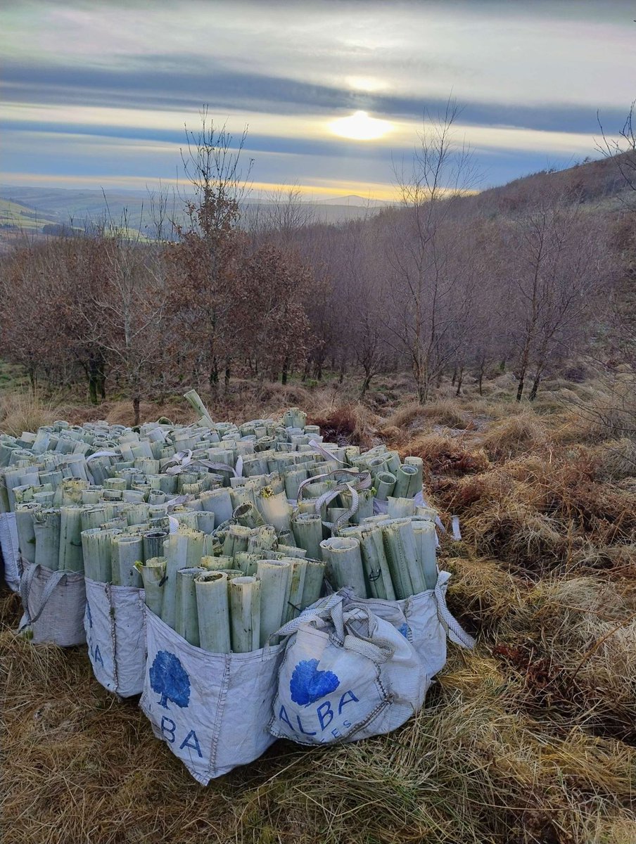 Introducing #PlotThatPlastic...
Would you like to get involved in a citizen science project to help get plastic off our hills in scotland?
Everyone can do their bit to help 'Forest Plastics Working Group' build a UK wide map locating the whereabouts of plastic tree guards...